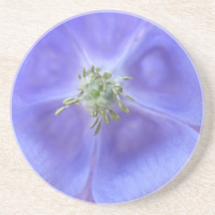 Aquilegia Blume Untersetzer