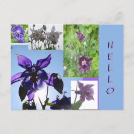 Aquilegia Collage Cust. Text & BG HELLO Postkarte