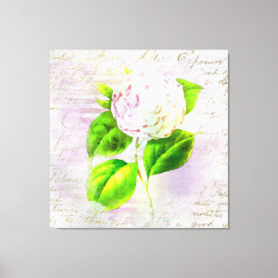** AR23 Florale alte Handschrift viktorianisch Leinwanddruck