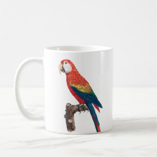 Ara Canga Parrot Kaffeetasse