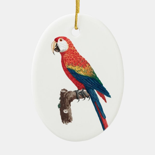 Ara Canga Parrot Keramik Ornament (Vorne)