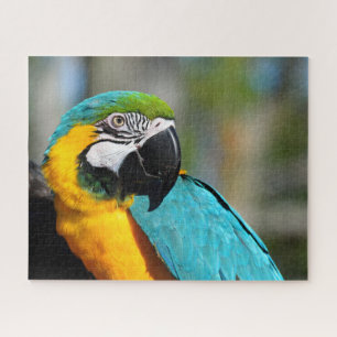 Ara Druck, Value Poster Papier (Matt)