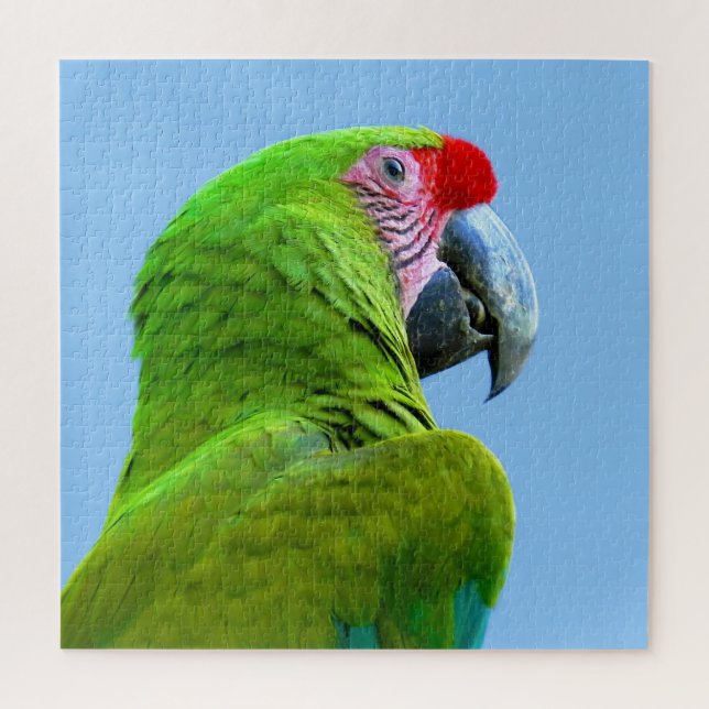 Ara Militaris Grüner Paprot (Vertikal)