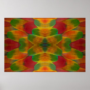 Ara-Papageienfeder-Kaleidoskop Poster