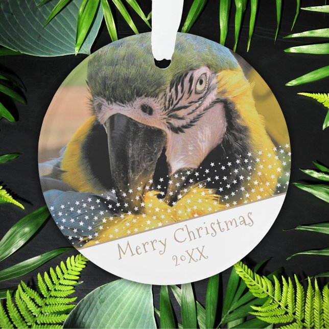 Ara Parrot Pet Foto Star Christmas Keepake Ornament (Von Creator hochgeladen)