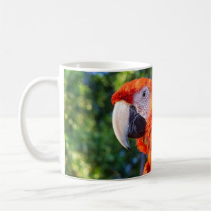 Ara-Vogel Kaffeetasse