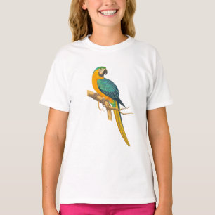Ara-Vogel T-Shirt