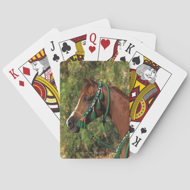 Arab Horse Headshot with Bridle Spielkarten (Rückseite)