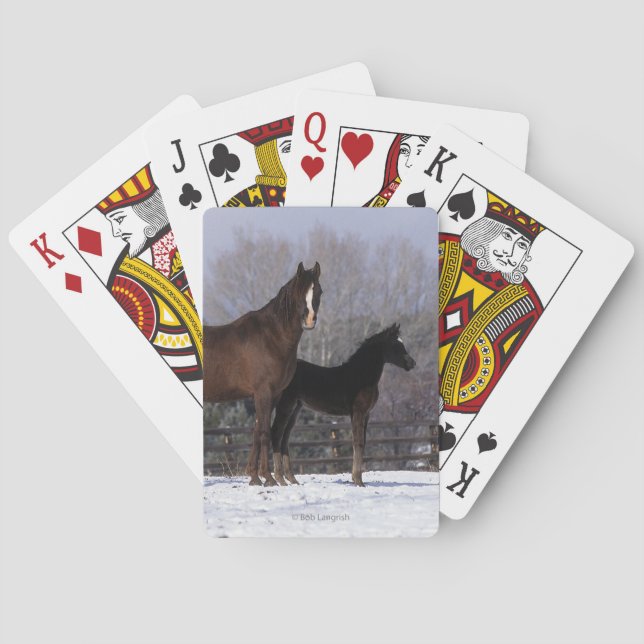 Arab Mare & Foal in Snow Spielkarten (Rückseite)