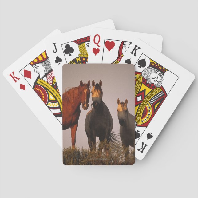 Araber bei Sunset Spielkarten (Rückseite)