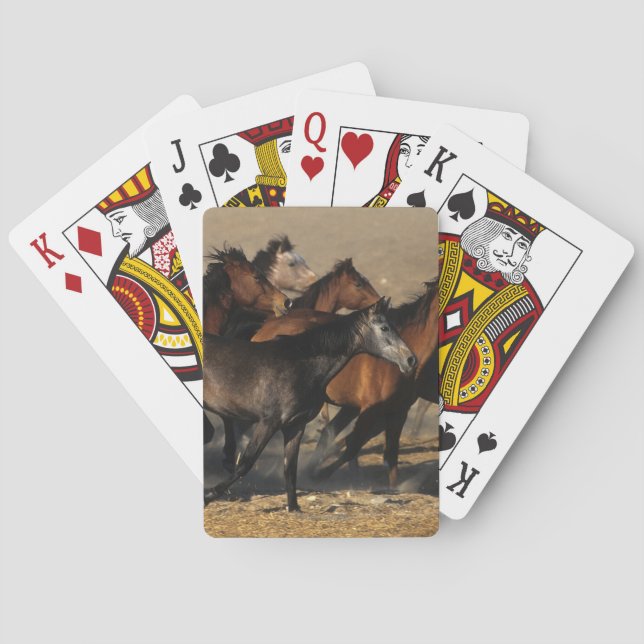 Araber, die in die Wüste laufen Spielkarten (Rückseite)