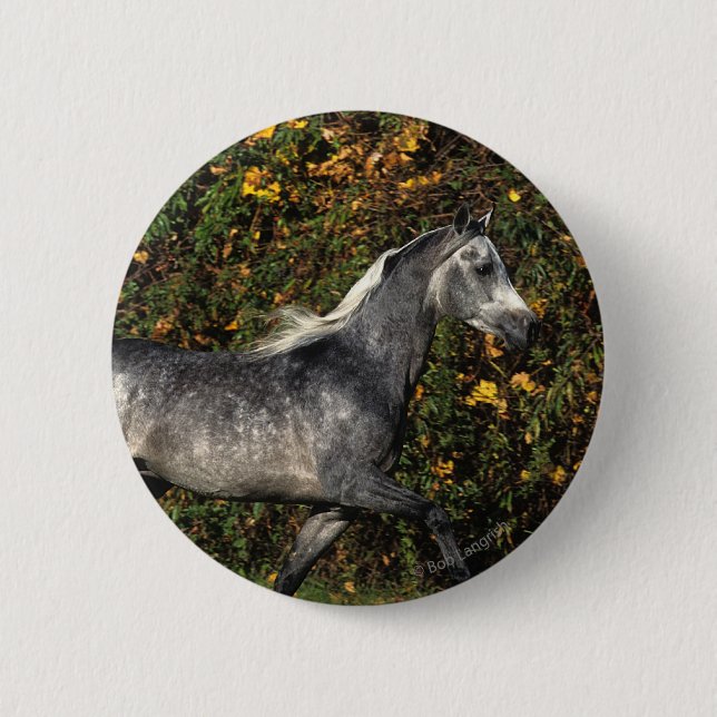 Araber-Laufen: Herbst Button (Vorderseite)
