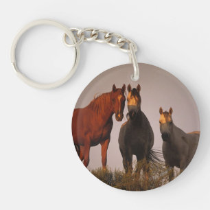 Arabes au coucher du soleil