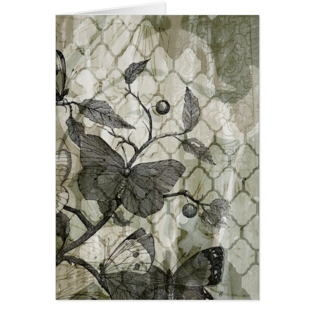 Arabesque Butterfells I (Vorne)