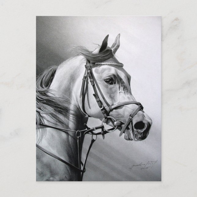 ARABIAN BEAUTY Postcard Postkarte (Vorderseite)