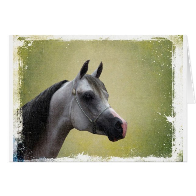 Arabian Horse Grunge (Vorderseite (Horizontal))