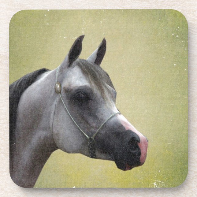 Arabian Horse Grunge Untersetzer (Vorderseite)