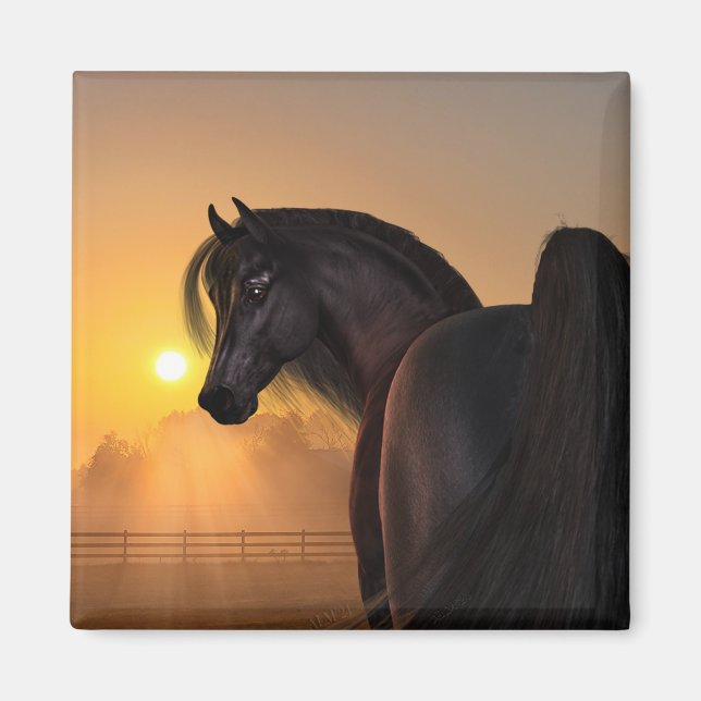 Arabian Horse Sunrise Magnet (Vorne)