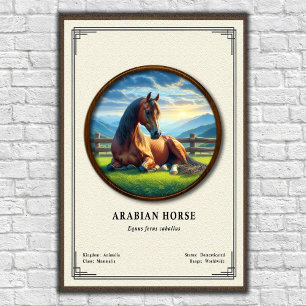 Arabian Horse Zoologie-Serie Poster