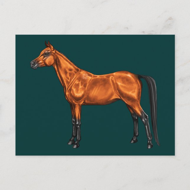 arabisch postkarte (Vorderseite)