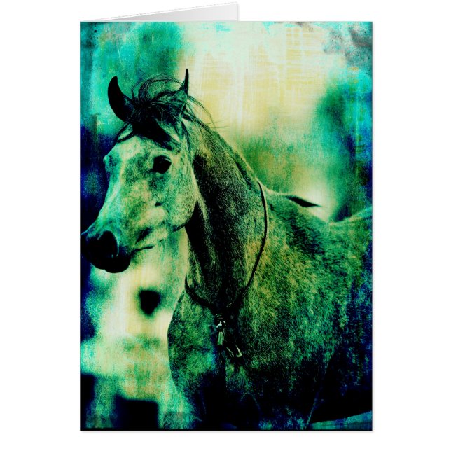 Arabische Blues (Vorne)