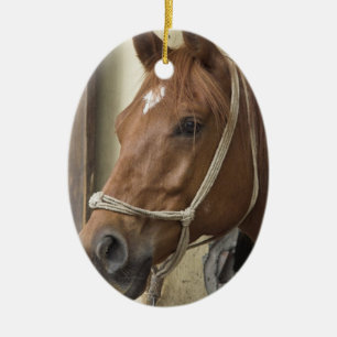 Arabische Pferdeverzierung Keramik Ornament