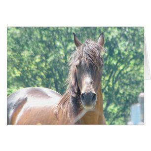 Arabischer bemerkenswerter Herr Foto-1