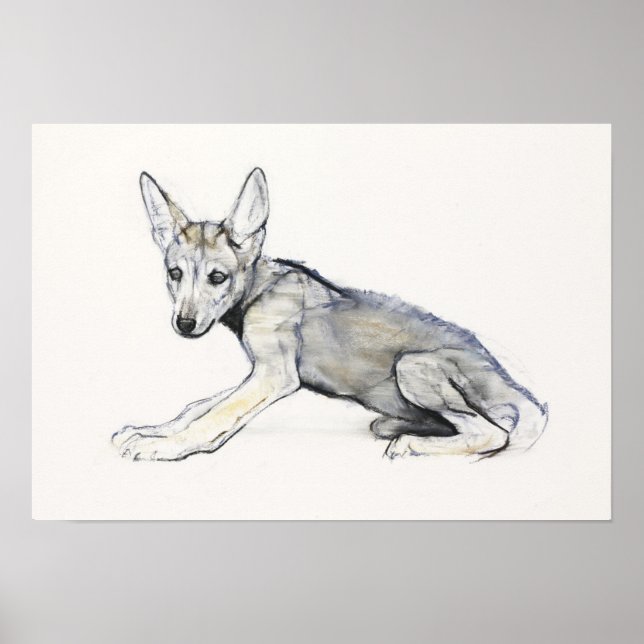 Arabischer Jugendlicher Wolf Pup 2009 Poster (Vorne)