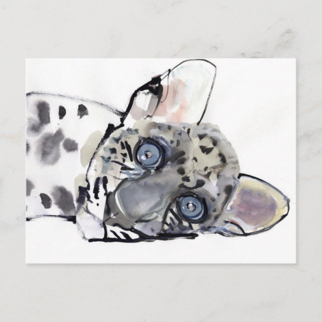 Arabischer Leopard 2008 3 Postkarte (Vorderseite)