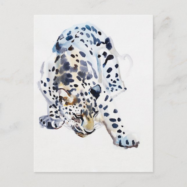 Arabischer Leopard 2008 5 Postkarte (Vorderseite)