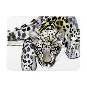 Arabischer Leopard 2008 6 Magnet