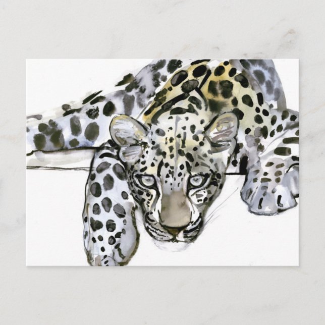 Arabischer Leopard 2008 6 Postkarte (Vorderseite)