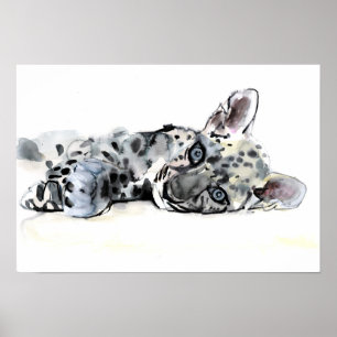 Arabischer Leopard CUB 2008 Poster