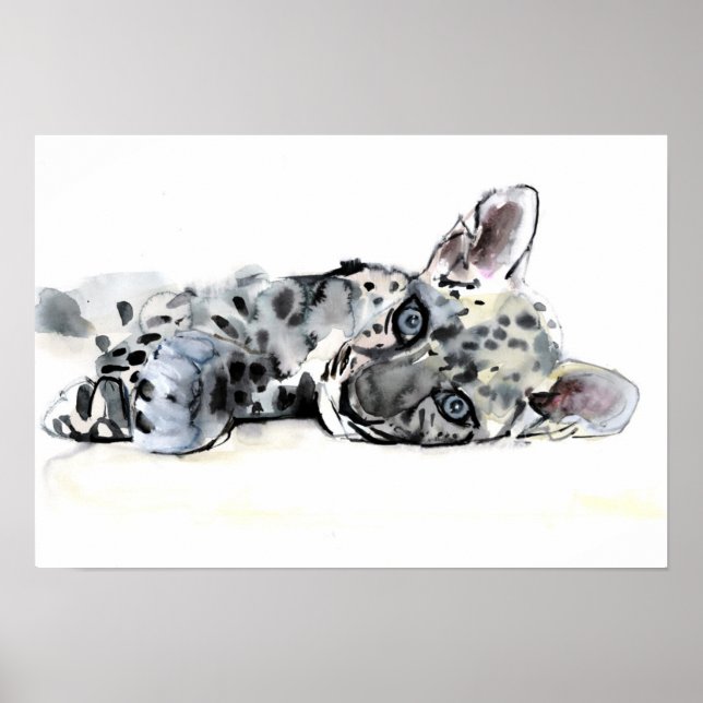 Arabischer Leopard Cub 2008 Poster (Vorne)