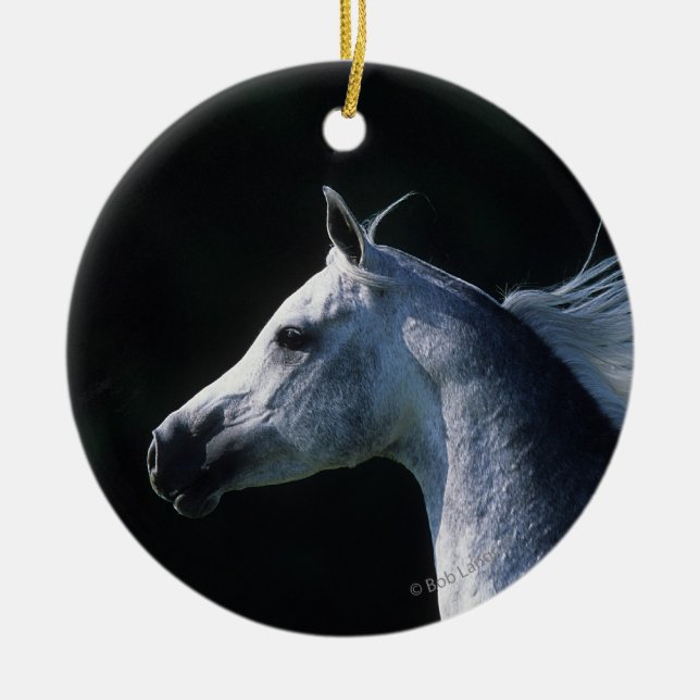 Arabischer PferdeHeadshot 2 Keramik Ornament (Vorne)