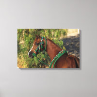 Arabischer Pferdekopf mit Bridle