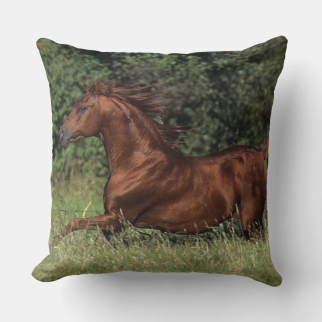Arabischer Stallion, der in das Gras läuft Kissen (Vorderseite)