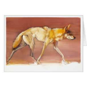 Arabischer Wolf 2010