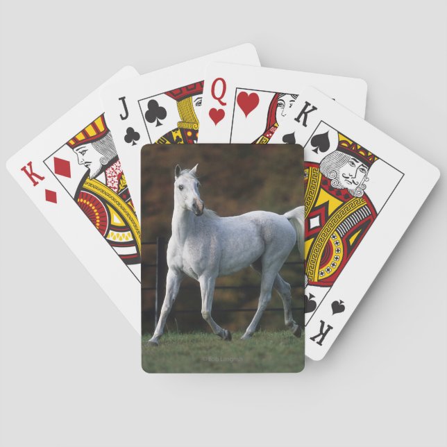 Arabisches Pferd, das 1 laufen lässt Spielkarten (Rückseite)