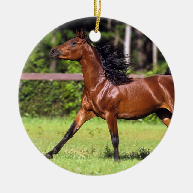 Arabisches Pferd, das 2 laufen lässt Keramik Ornament (Vorne)