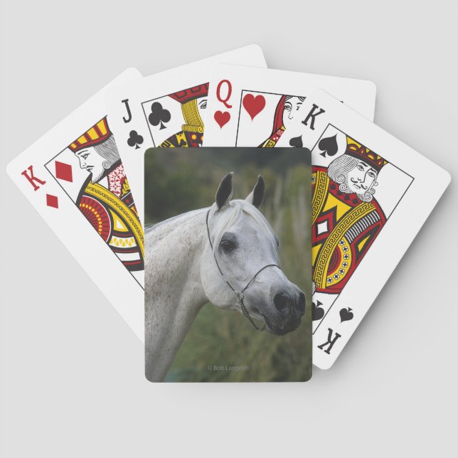 Arabisches Pferd - Headshot 1 Spielkarten (Rückseite)
