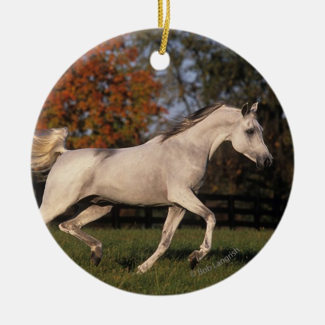Arabisches Pferd: Herbst 2 Keramikornament (Vorne)