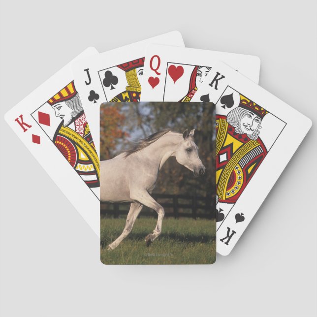 Arabisches Pferd: Herbst 2 Spielkarten (Rückseite)