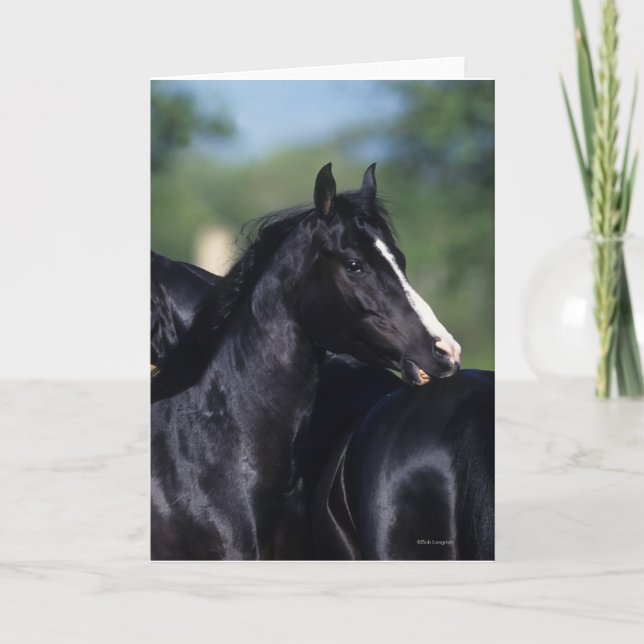 Arabisches Pferd Karte (Vorderseite)