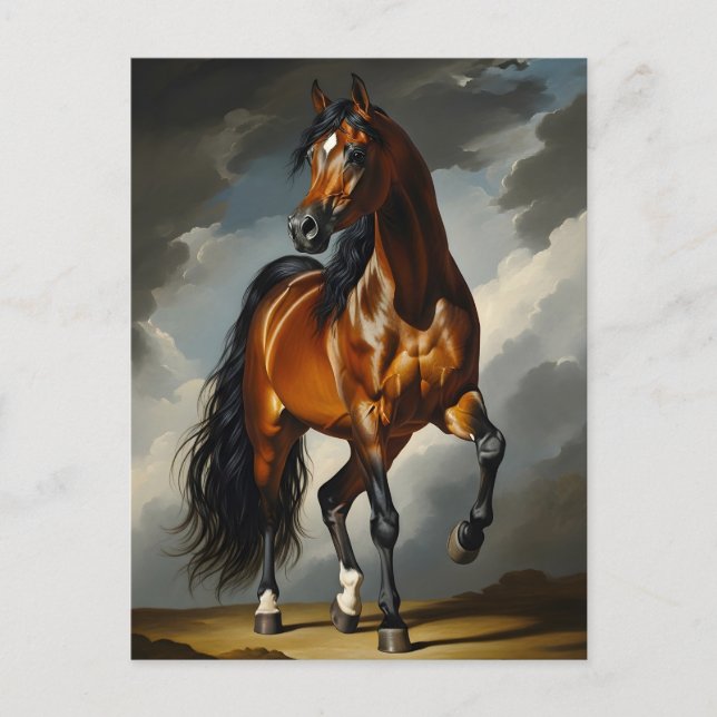 Arabisches Pferd Postkarte (Vorderseite)
