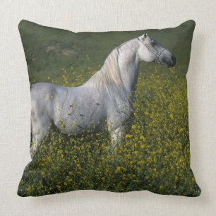 Arabisches Pferd stehend in den Blumen Kissen