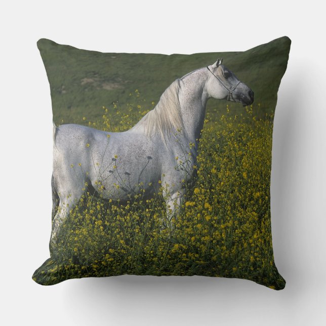 Arabisches Pferd stehend in den Blumen Kissen (Vorderseite)