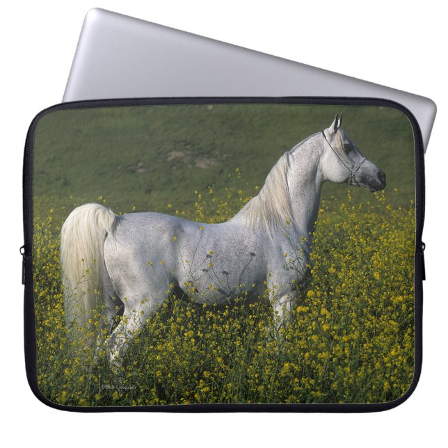 Arabisches Pferd stehend in den Blumen Laptopschutzhülle (Vorderseite)