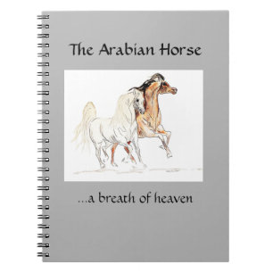 Arabisches Pferdenotizbuch Notizblock