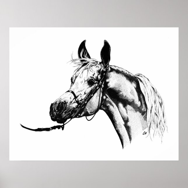 Arabisches Portrait in Pen & Ink Poster (Vorne)